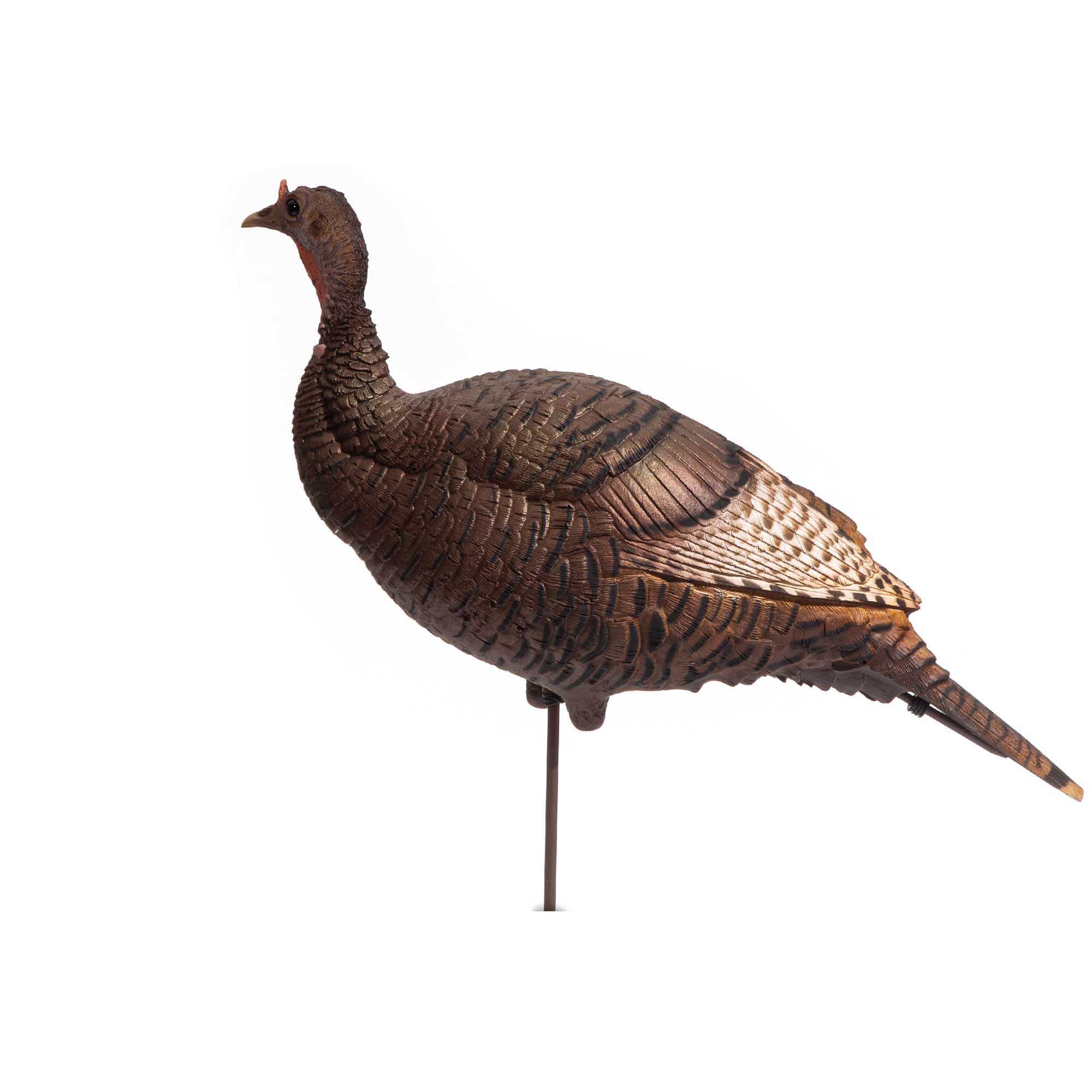 Lucky Duck Lucky HD Collapsible Jake Turkey Decoy 