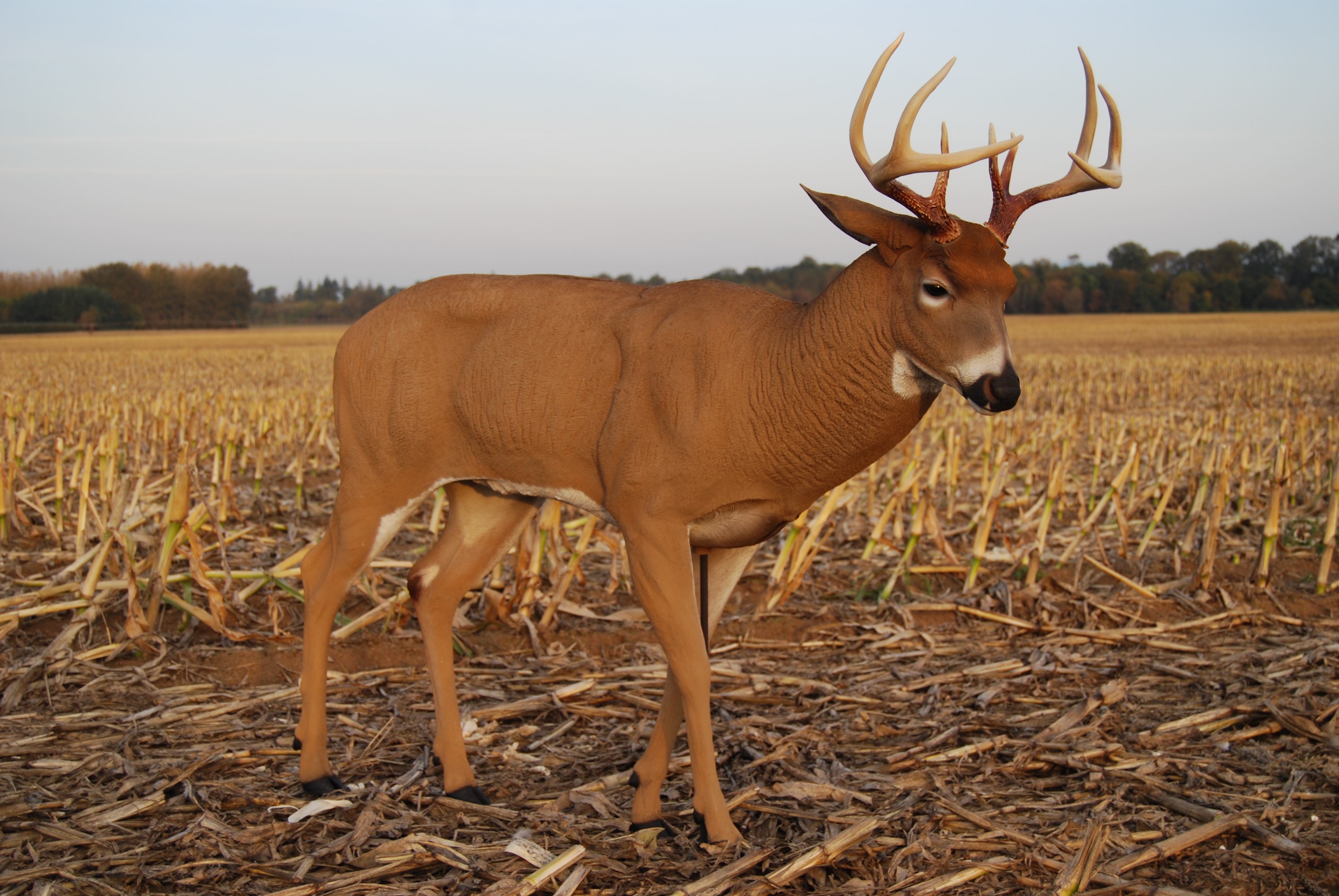 Posturing Buck Dave Smith Decoys