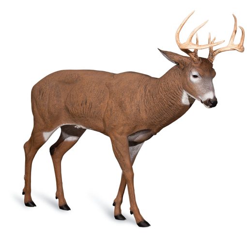 Posturing Buck