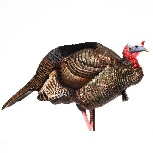 3/4 Strut Jake Decoy – Dave Smith Decoys