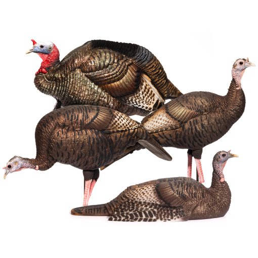 Turkey Flock – Dave Smith Decoys