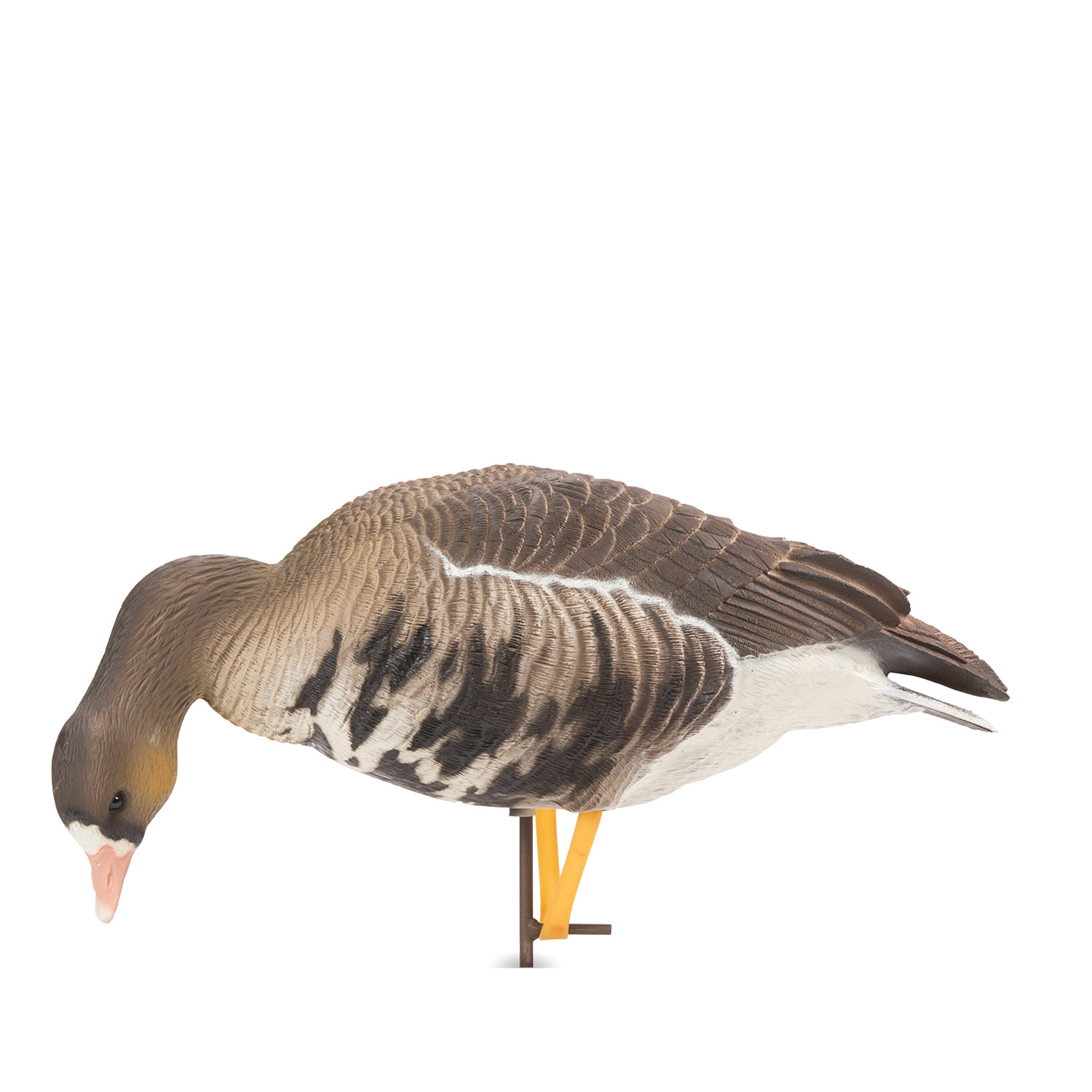 Speck Combo 6Pack Dave Smith Decoys