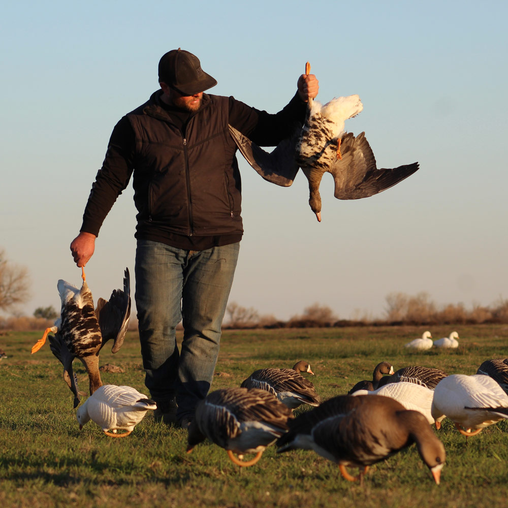 Specks Combo 6 Pack Dave Smith Decoys