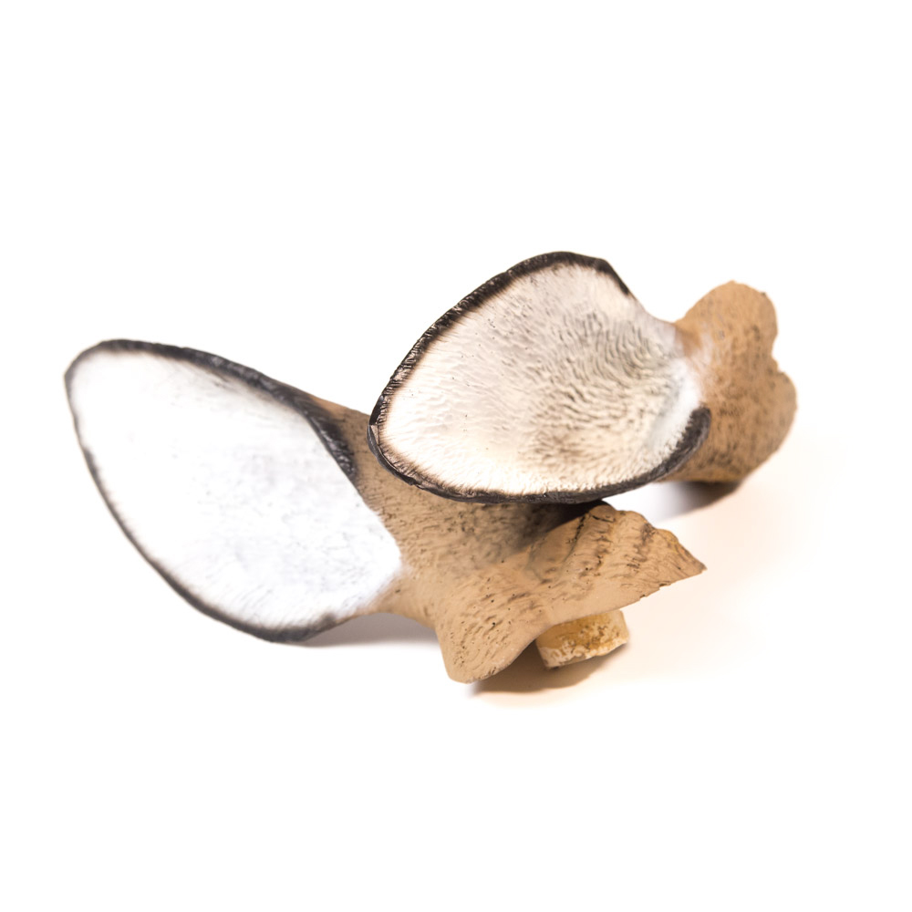 Flambeau deer decoy replacement ears