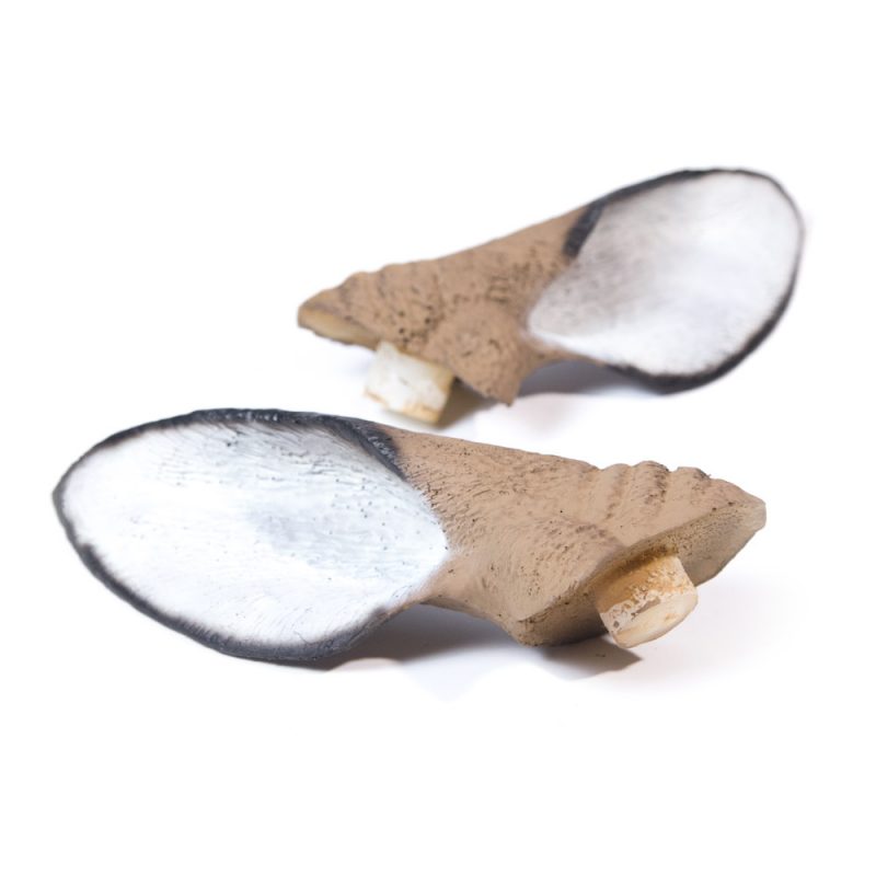 Black Armour Flocking Kit Dave Smith Decoys