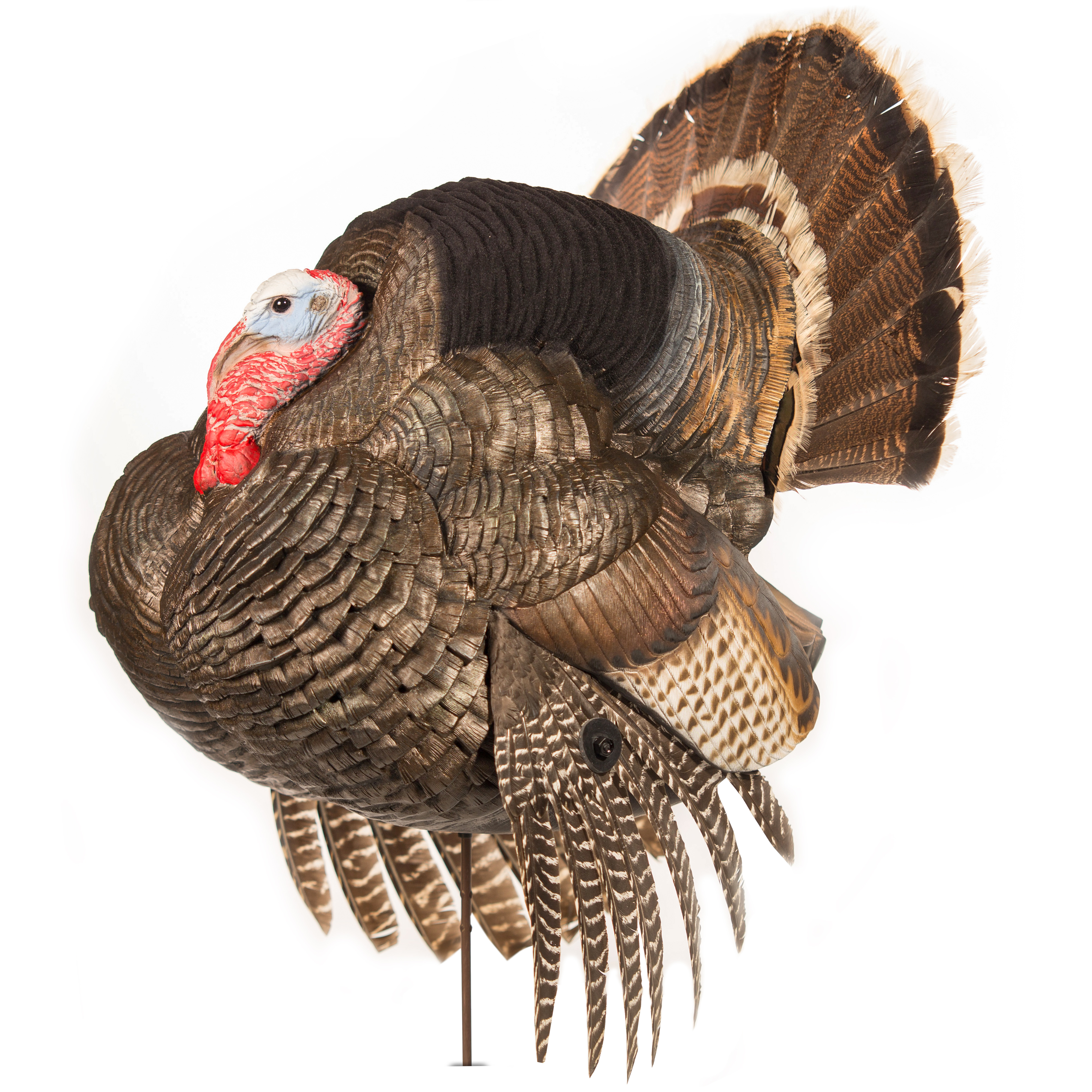 DSD Strutter Dave Smith Decoys