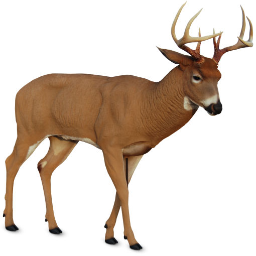 Deer Decoys Dave Smith Decoys