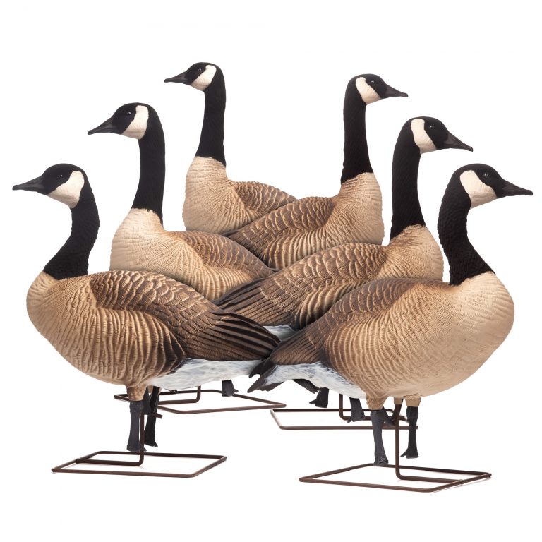 Goose Decoys Dave Smith Decoys