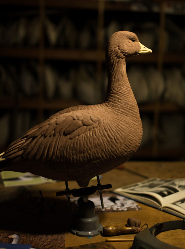 New Snow & Blue Goose Decoys Dave Smith Decoys