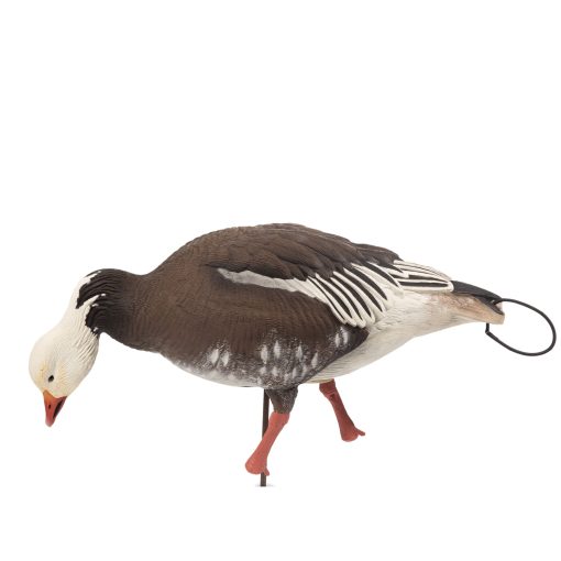Blue Goose | Combo 6-Pack - Image 8