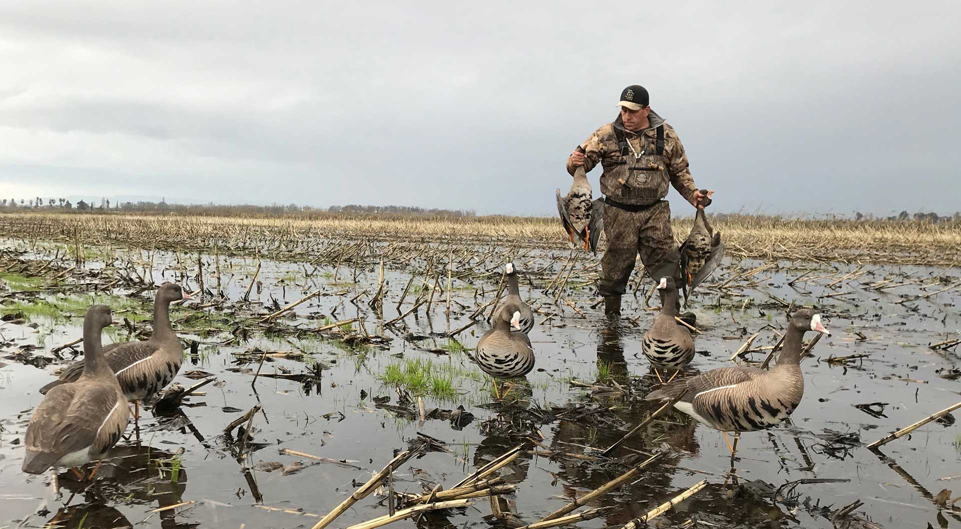 DSD Podcast Dave Smith Decoys