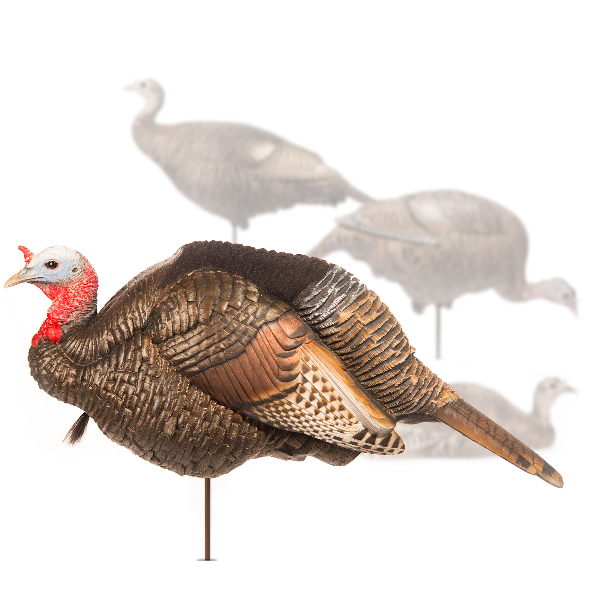 Custom Flock | 3/4 Strut Jake – Dave Smith Decoys
