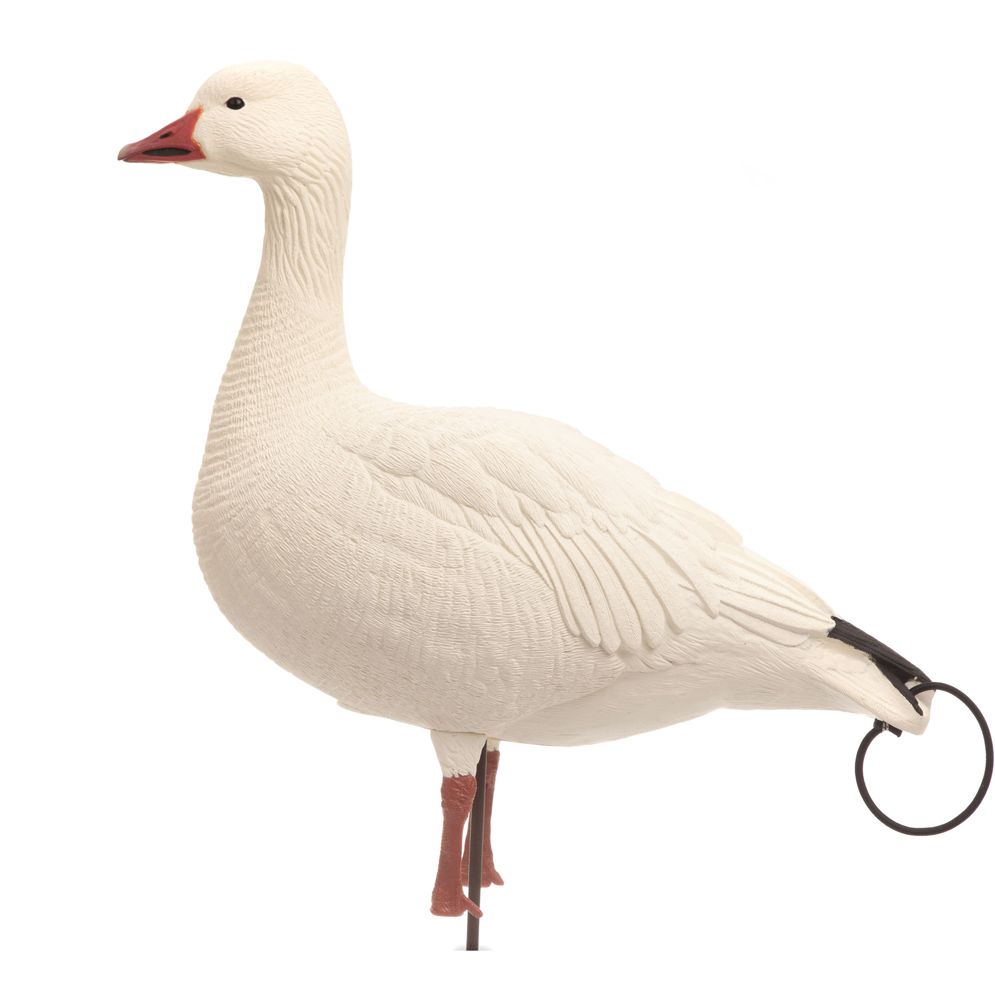 Snow Goose | Combo 10-Pack – Dave Smith Decoys
