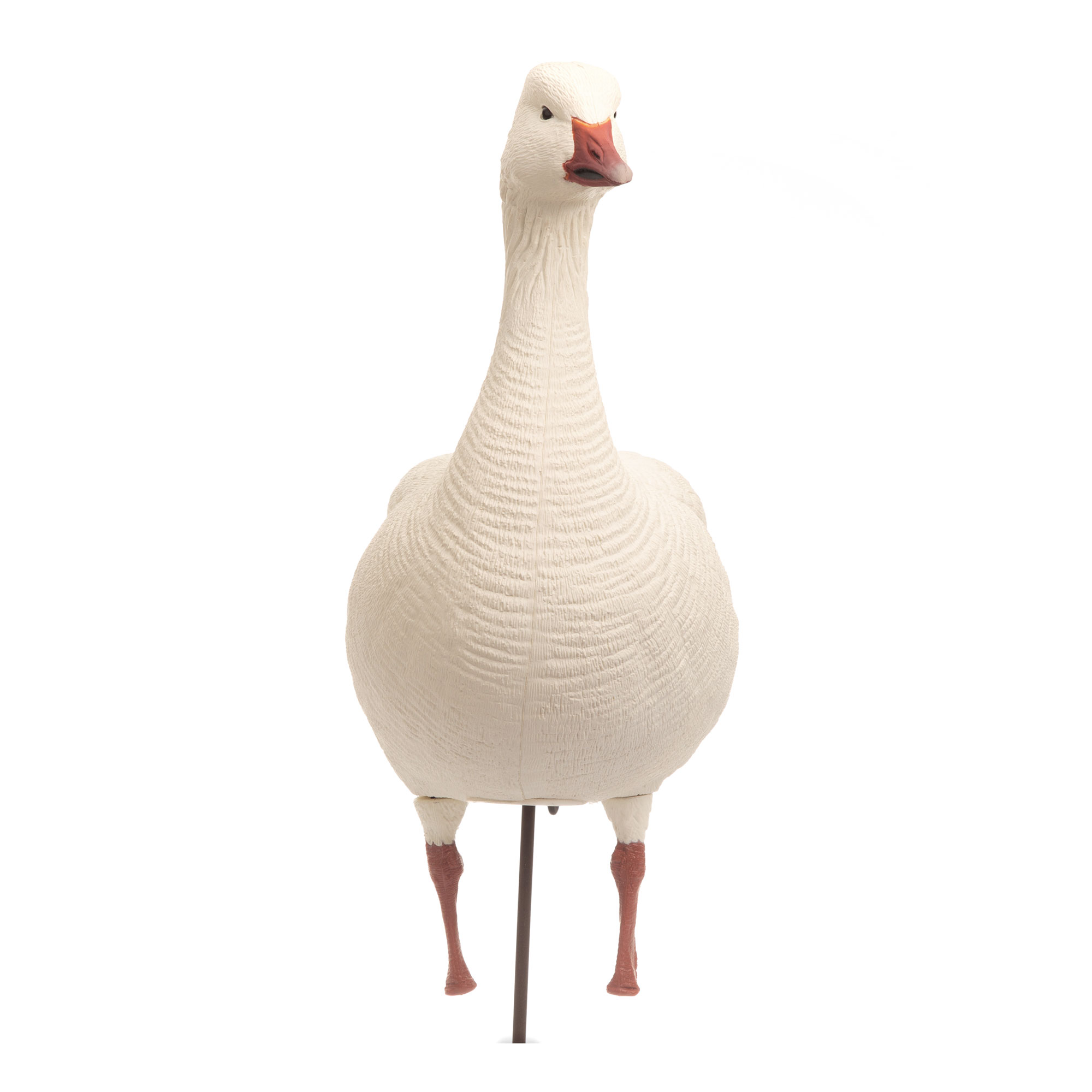 Snow Goose | Combo 10-Pack – Dave Smith Decoys