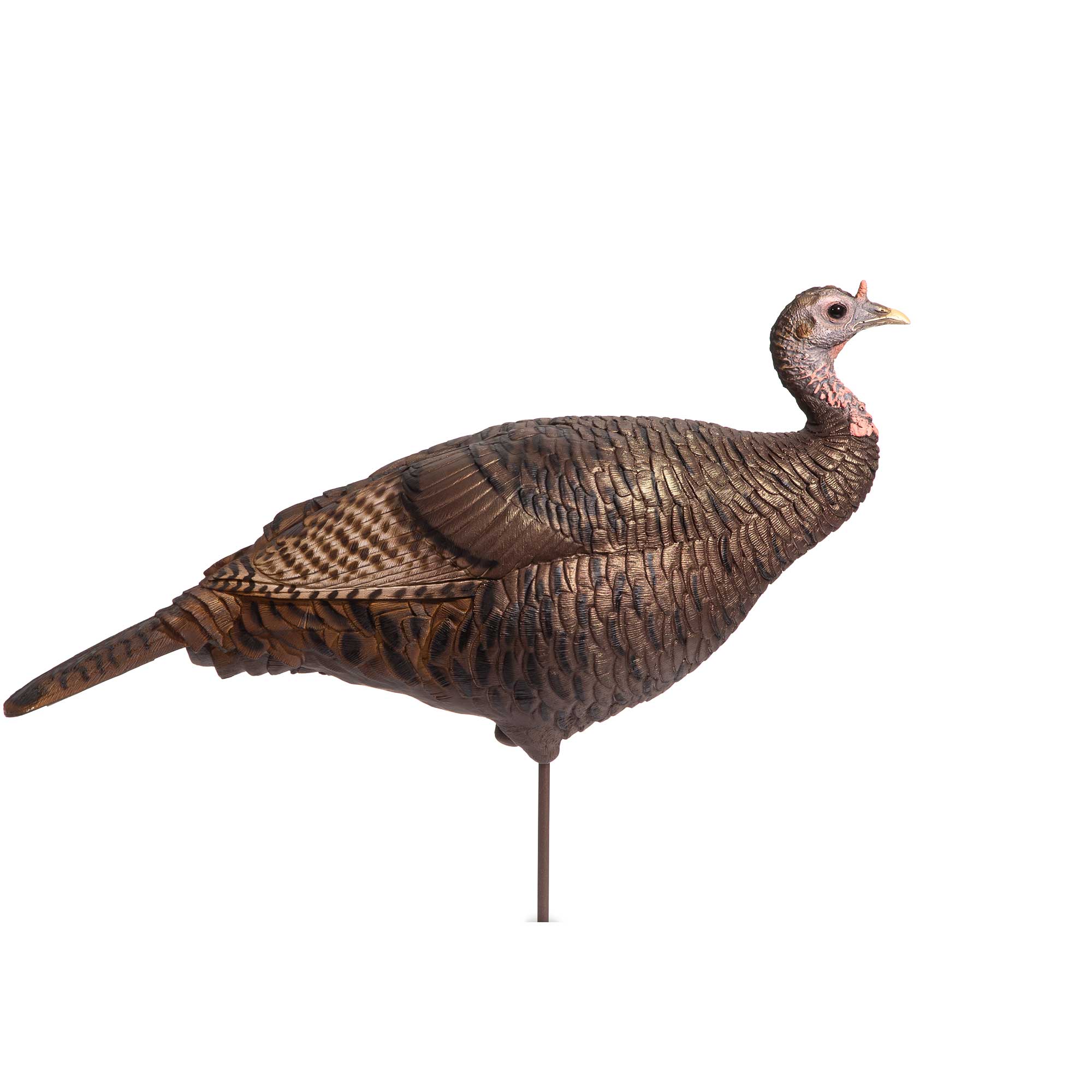 dsd-website-360-turkey-