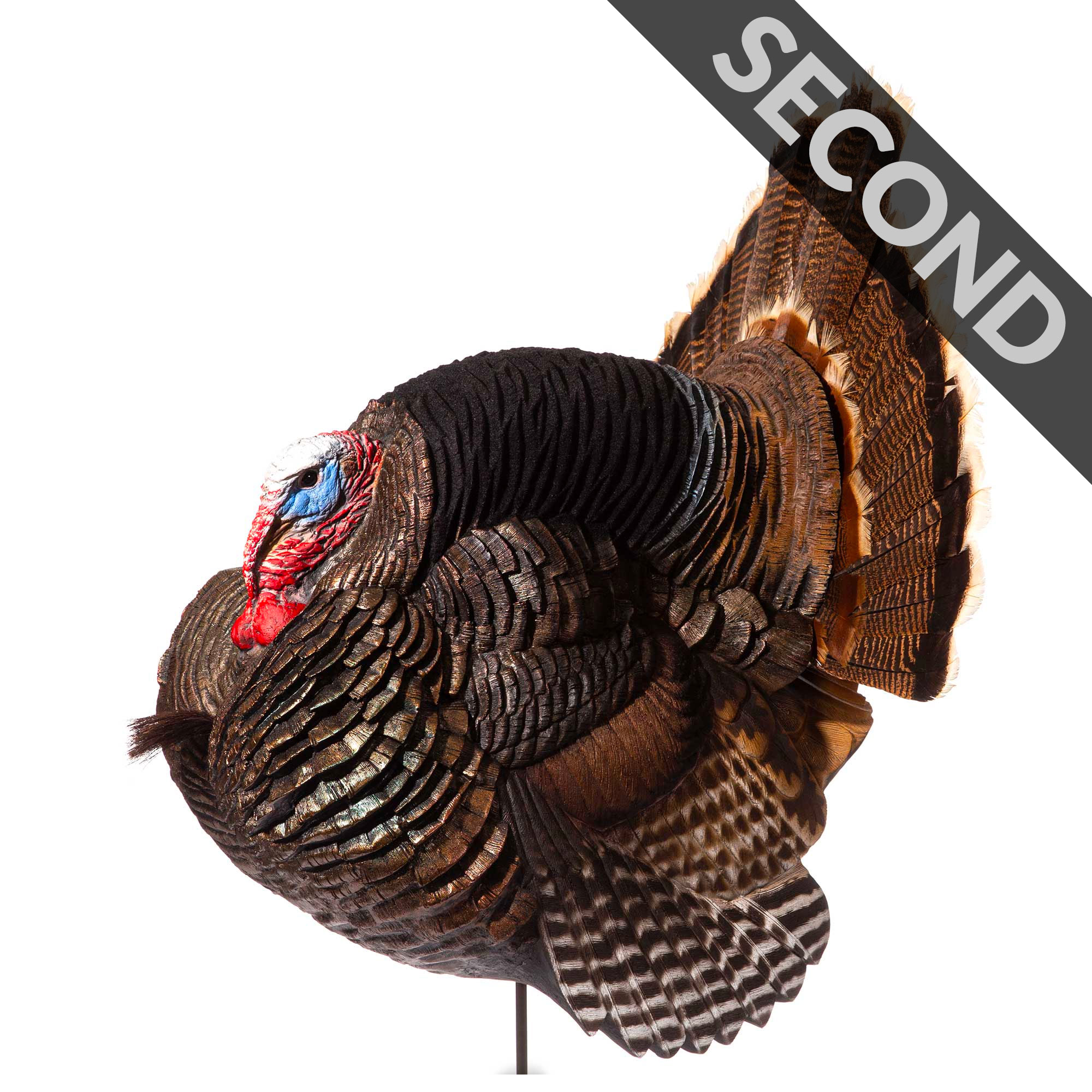 Jake Strutter | Second