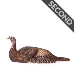 Mating Hen | Second