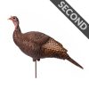 Upright Hen | Second