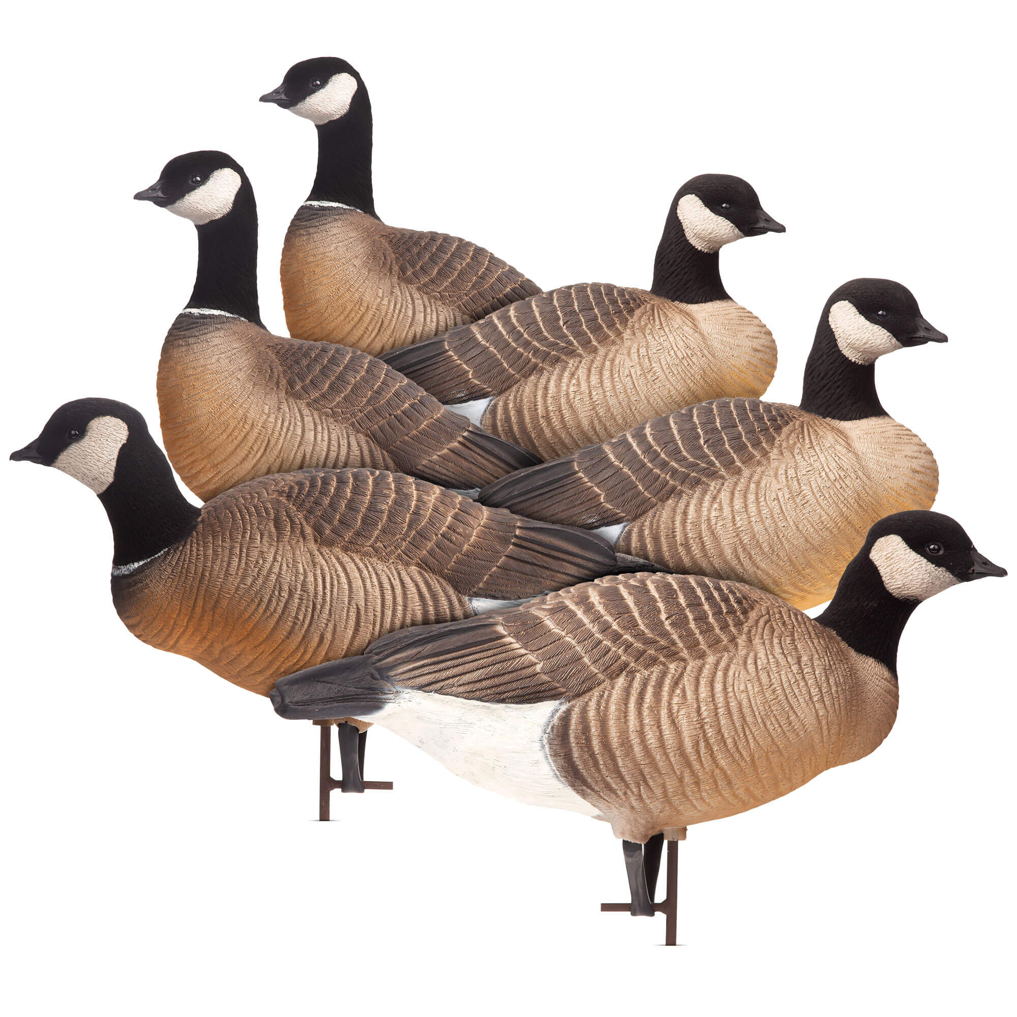 Small Canada Geese Dave Smith Decoys