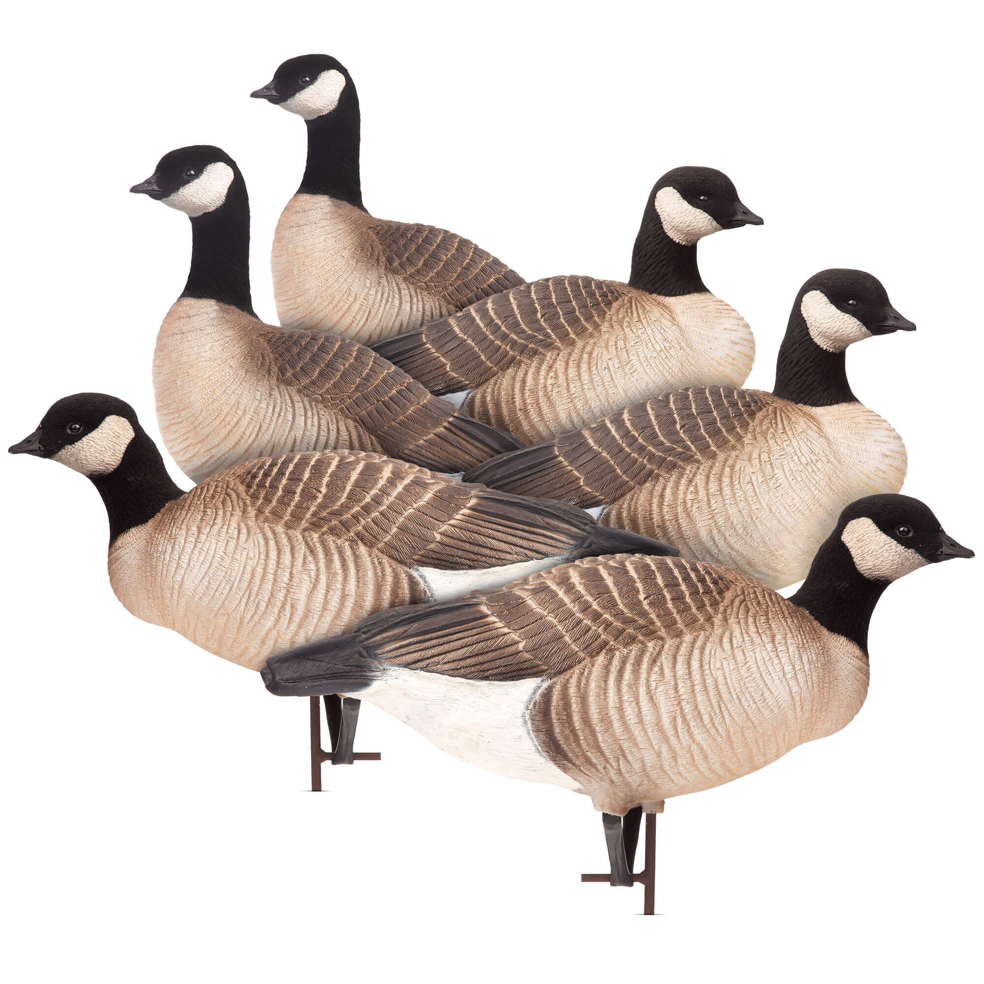 Small Canada Geese Dave Smith Decoys