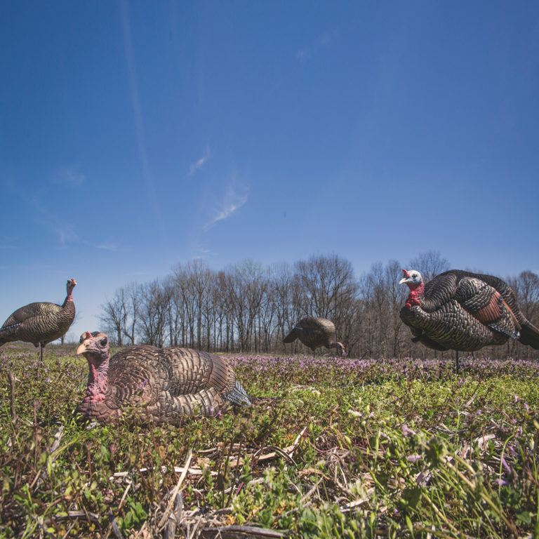 Turkey Flock Dave Smith Decoys