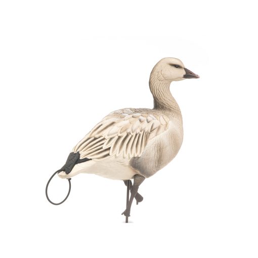 Snow Goose Juvie | Combo 10-Pack - Image 3