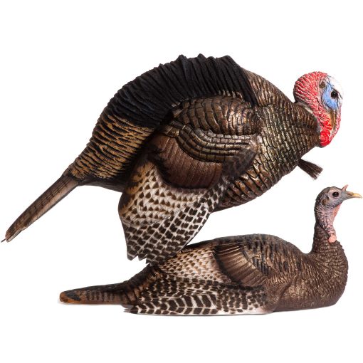 Mating Motion Pair