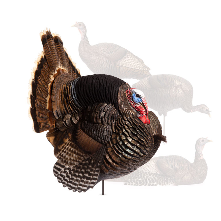 Custom Flock Jake Strutter Dave Smith Decoys