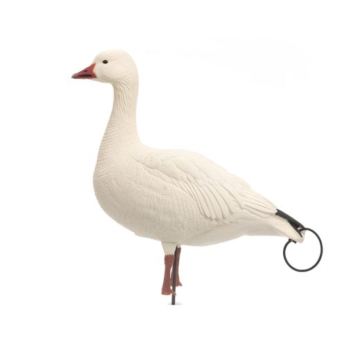 Snow Goose | Combo 6-Pack - Image 6