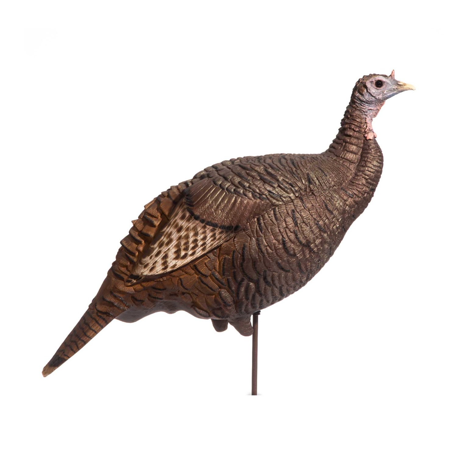 3/4 Strut Jake Decoy Dave Smith Decoys