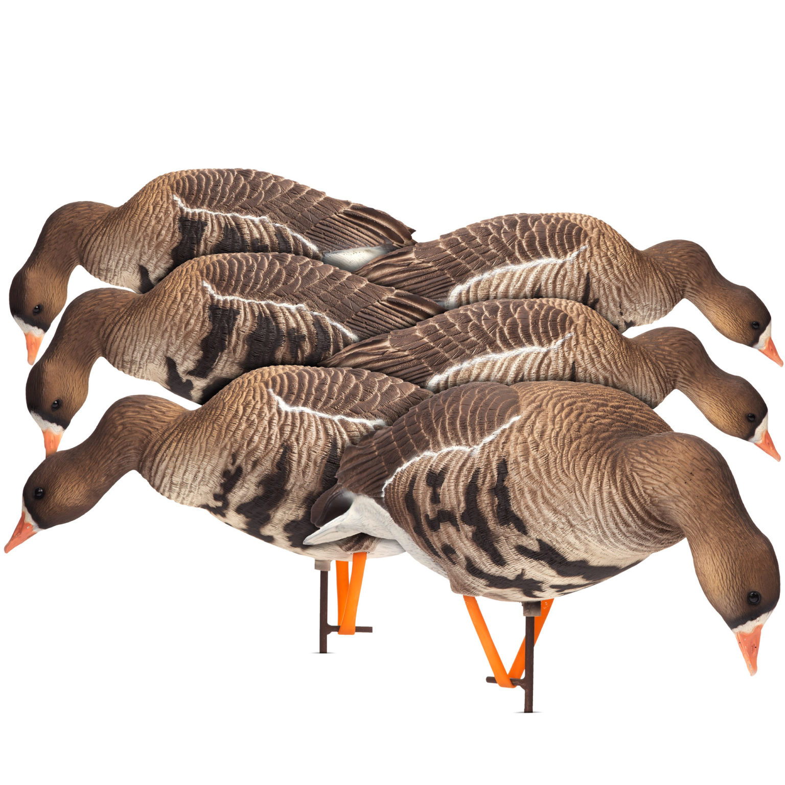 3/4 Strut Jake Decoy Dave Smith Decoys