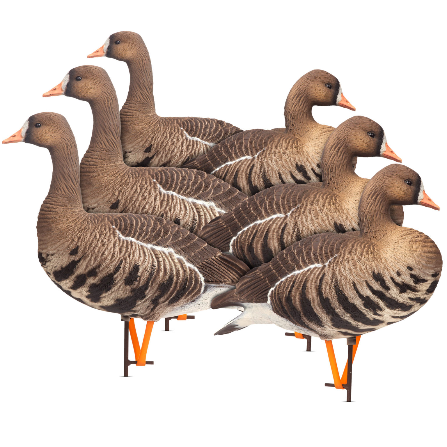 Posturing Buck Dave Smith Decoys