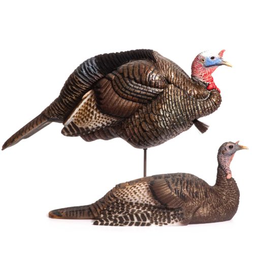 Breeding Pair