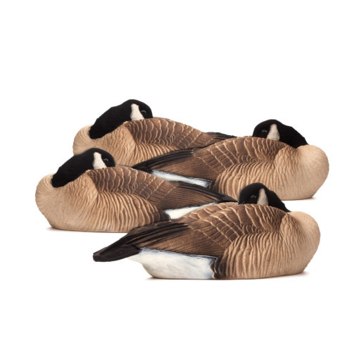 Giants | Sleeper 4-Pack