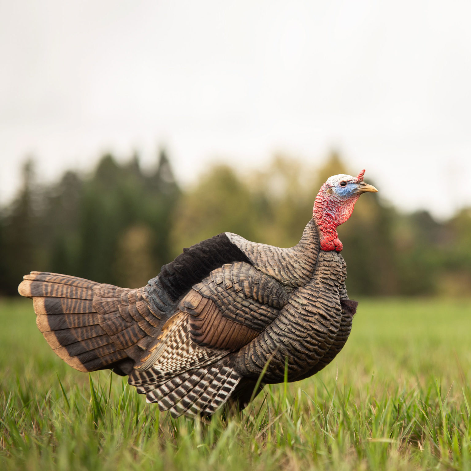 Posturing Jake Dave Smith Decoys