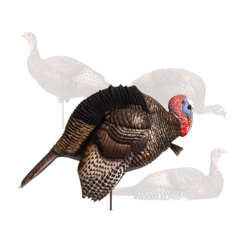 Turkey Flock Dave Smith Decoys