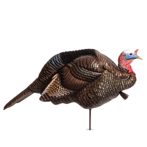 Breeding Pair - Image 2