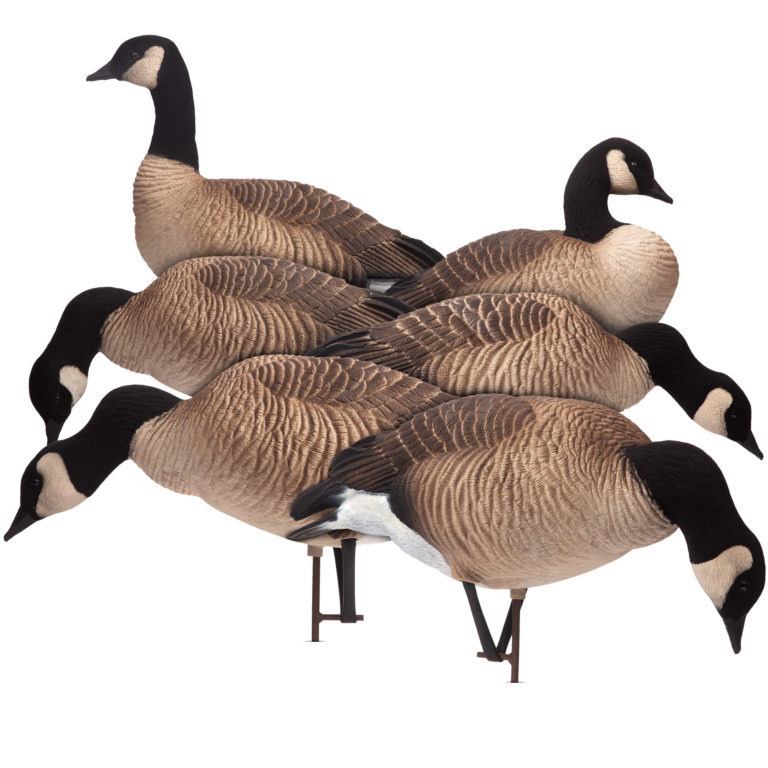 Posturing Buck Dave Smith Decoys