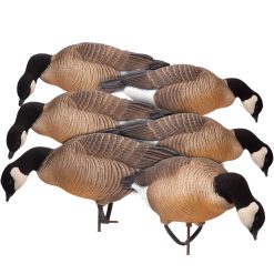 Cacklers | Feeder 6-Pack – Dave Smith Decoys