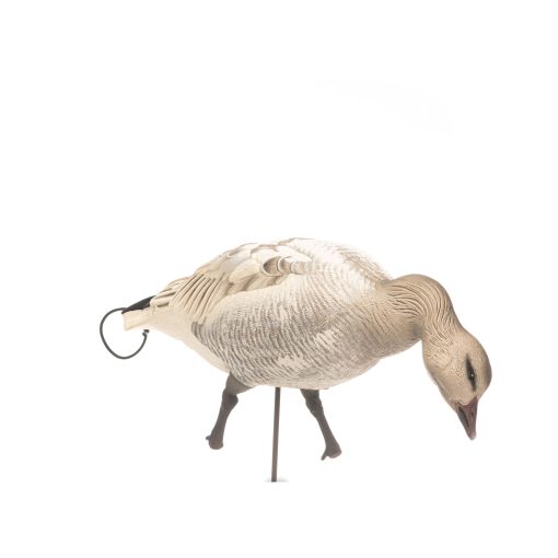 Snow Goose Juvie | Combo 10-Pack - Image 4