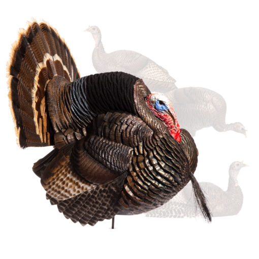 Custom Flock | Strutter