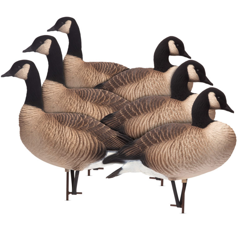Posturing Buck Dave Smith Decoys