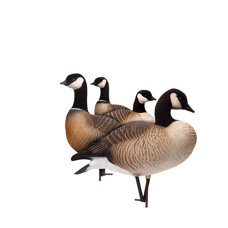 Waterfowl Decoys – Dave Smith Decoys