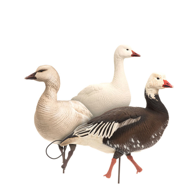 Waterfowl Decoys Dave Smith Decoys