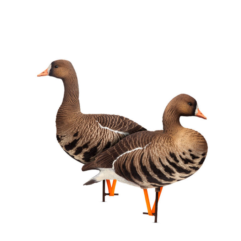 Waterfowl Decoys Dave Smith Decoys