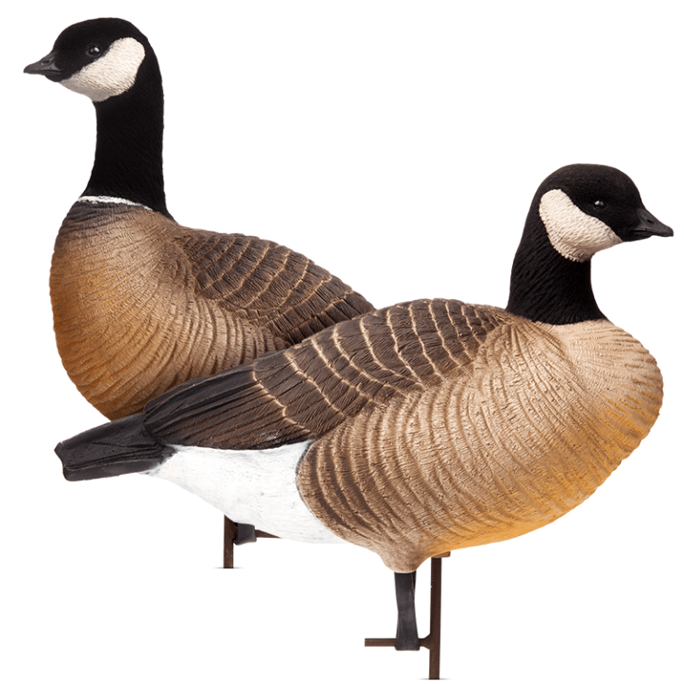 Cacklers Dave Smith Decoys