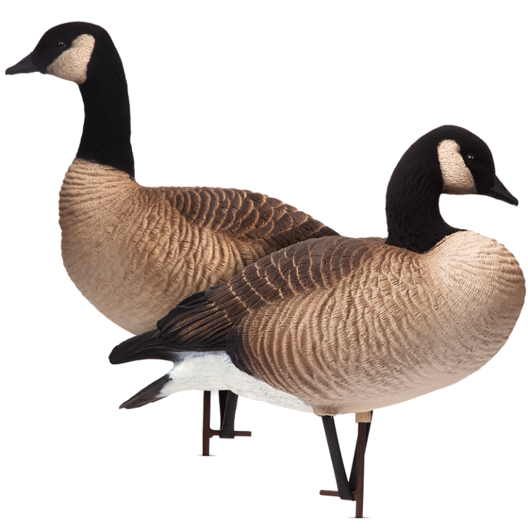 Lessers Dave Smith Decoys