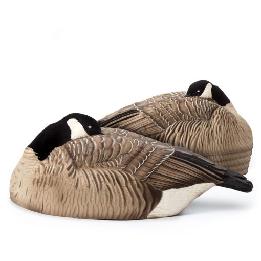 Large Canada Geese Dave Smith Decoys