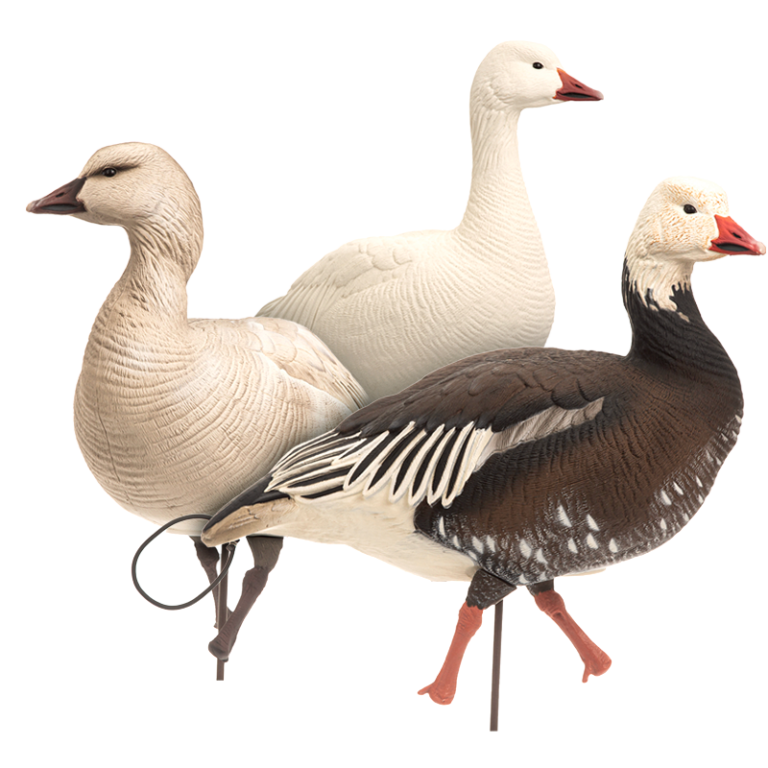 Snow & Blue Geese Dave Smith Decoys