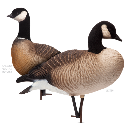Small Canada Geese Dave Smith Decoys